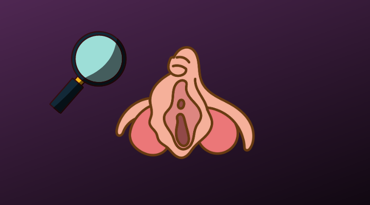 Como encontrar o clitóris? Saiba agora e tenha orgasmos!