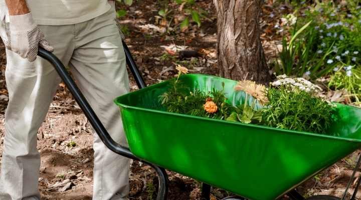 posição sexual carrinho de mão