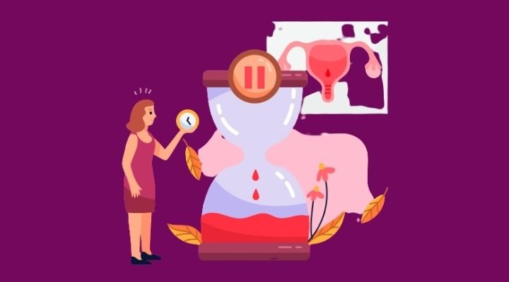 Imagem de THC e estrogênio.