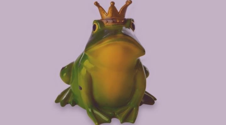 Principe encantado ou sapo_